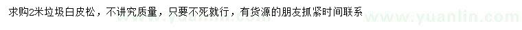 求購2米垃圾白皮松