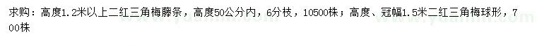 求購(gòu)高50、120、150公分二紅三角梅