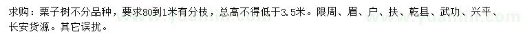 求購高不低于3.5米栗子樹
