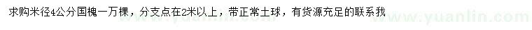 求購米徑4公分國槐