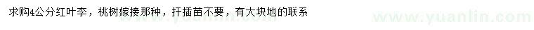 求購4公分紅葉李