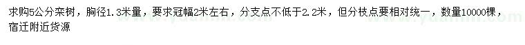 求購(gòu)胸徑1.3米量5公分欒樹