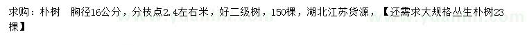 求購胸徑16公分樸樹、叢生樸樹