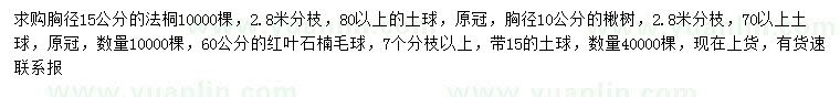 求購法桐、楸樹、紅葉石楠毛球