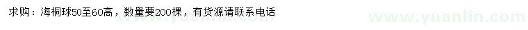 求購高50-60公分海桐球