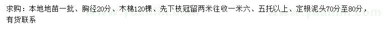 求購胸徑20公分木棉