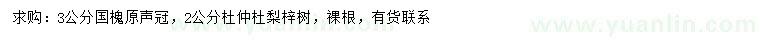 求購國槐、2公分杜仲、杜梨等