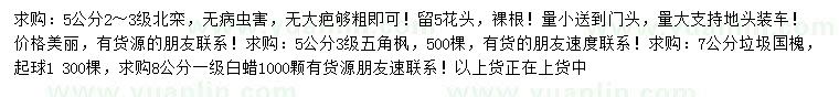求購(gòu)北欒、五角楓、國(guó)槐等