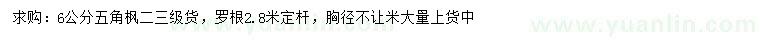 求購6公分五角楓