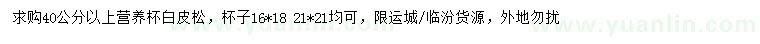 求購40公分以上白皮松