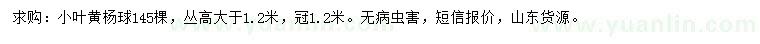 求購高大于1.2米小葉黃楊