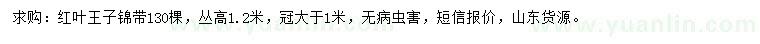 求購(gòu)高1.2米紅葉王子錦帶