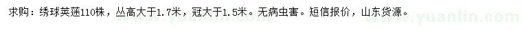 求購高大于1.7米繡球莢蒾