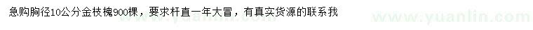 求購(gòu)胸徑10公分金枝槐