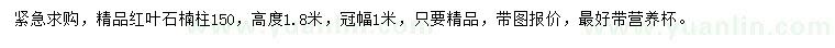 求購高1.8米精品紅葉石楠柱