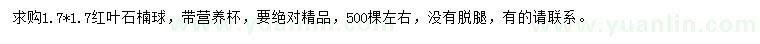 求購高1.7米紅葉石楠球