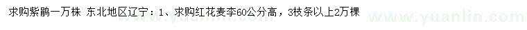 求購求購紫鵑、高60公分紅花麥李