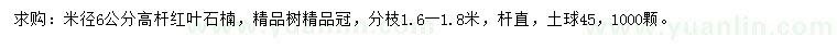求購米徑6公分紅葉石楠