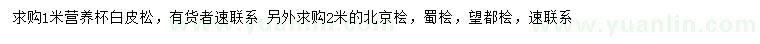 求購白皮松、北京檜、蜀檜等