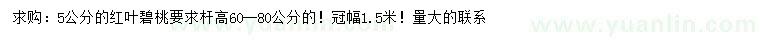 求購5公分紅葉碧桃