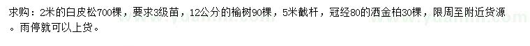 求購2米白皮松、榆樹、灑金柏