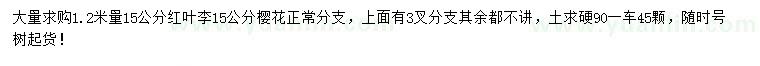 求購1.2米量15公分紅葉李