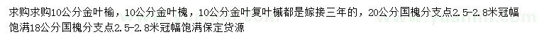 求購金葉榆、金葉槐、金葉復(fù)葉槭等
