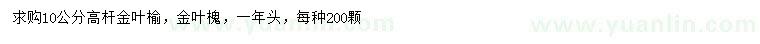 求購10公分高桿金葉榆、金葉槐