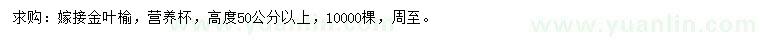求購高50公分以上嫁接金葉榆