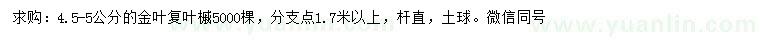 求購(gòu)4.5-5公分金葉復(fù)葉槭
