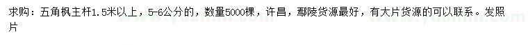 求購(gòu)5-6公分五角楓