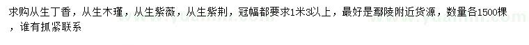 求購(gòu)叢生丁香、叢生木瑾、叢生紫薇等