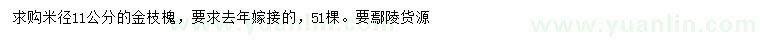 求購米徑11公分金枝槐
