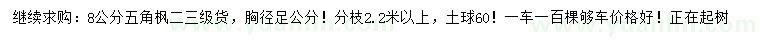 求購8公分五角楓