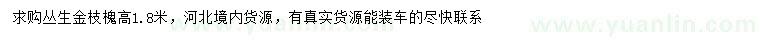 求購高1.8米叢生金枝槐