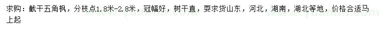 求購五角楓
