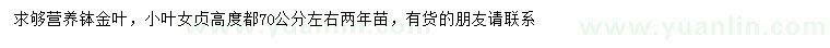 求購高70公分左右金葉、小葉女貞
