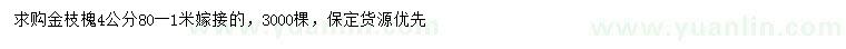 求購4公分金枝槐