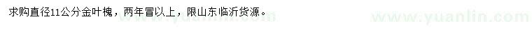 求購直徑11公分金葉槐