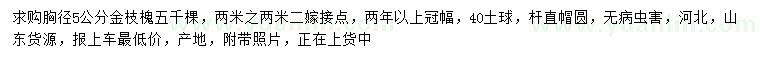 求購(gòu)胸徑5公分金枝槐