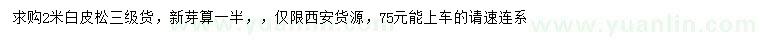 求購2米白皮松