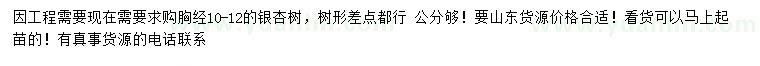 求購10-12公分銀杏