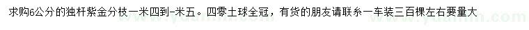 求購6公分獨(dú)桿紫荊