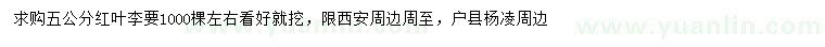 求購5公分紅葉李