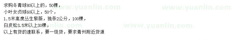 求購(gòu)冬青球、小葉女貞球、叢生紫薇等