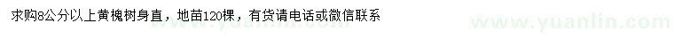 求購(gòu)8公分以上黃槐