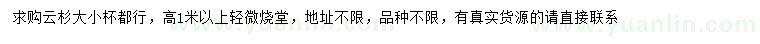 求購高1米以上云杉