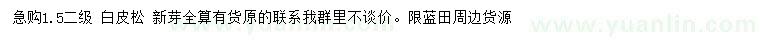 求購1.5米白皮松