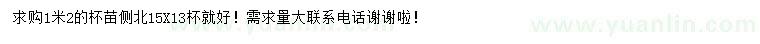 求購1.2米側柏杯苗