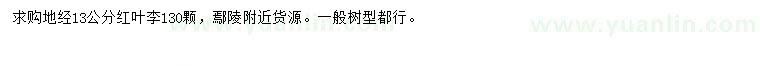 求購13公分紅葉李